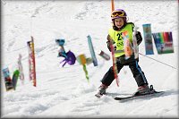 Slalom s p�ekvapen�m v c�li